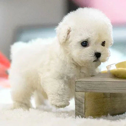 【Official Store】🐶 The Most Realistic Robot Puppy Ever! 😍 Last Chance for Exclusive Discount! 🕒